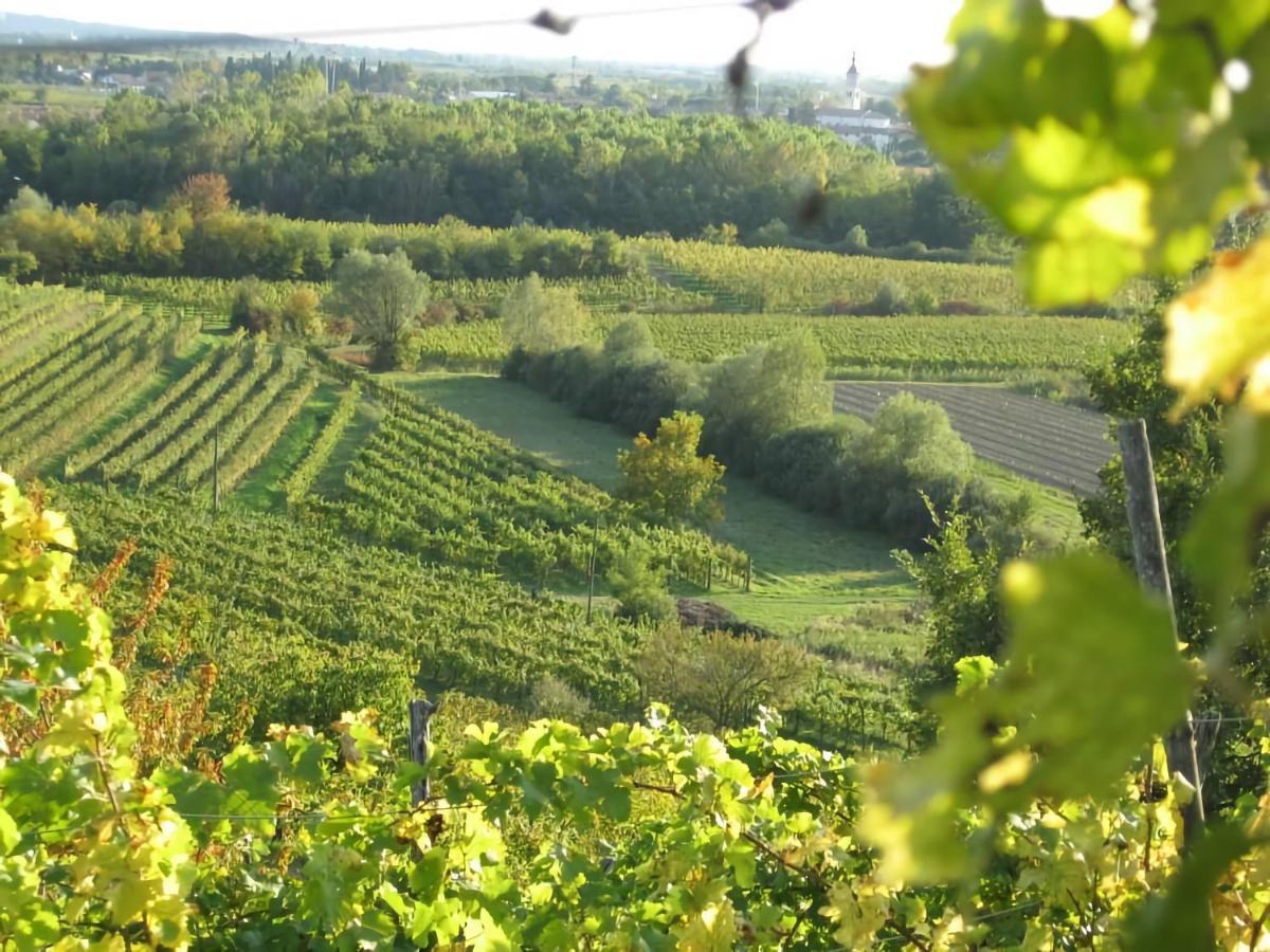 Capriva Del Friuli - Casa Roncus Villa Ngoại thất bức ảnh